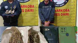 Polres Dairi mengamankan dua pria terkait dugaan peredaran ganja di Bintang Mersada. Polisi menyita ganja dengan total berat 18,05 gram.