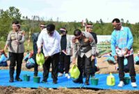Bupati Vandiko dan Kapolda Sumut menanam bawang putih di Samosir.