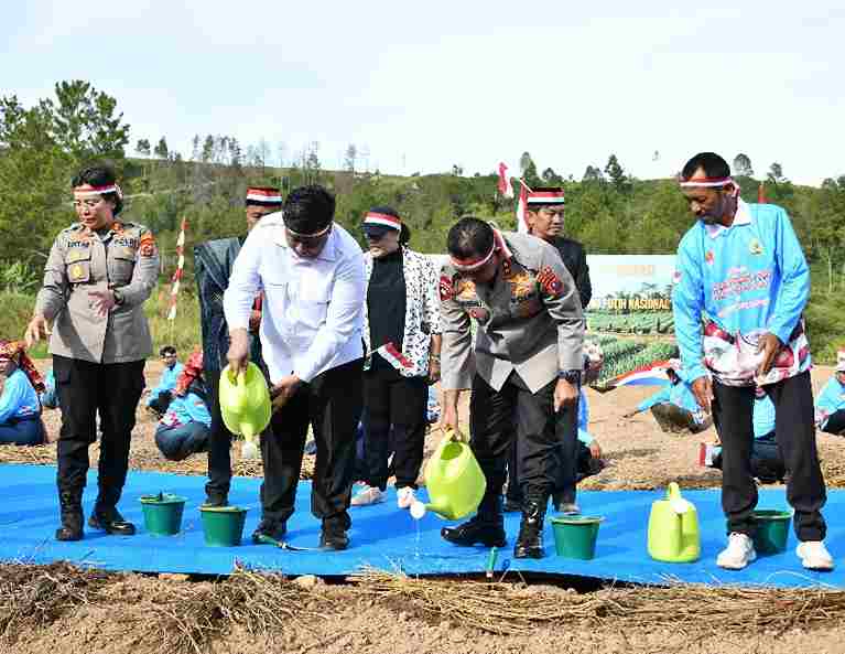 Bupati Vandiko dan Kapolda Sumut menanam bawang putih di Samosir.