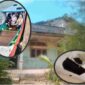 Kondisi Fasilitas Asrama Putri yang terbengkalai sehingga para siswa pulang pergi menggunakan perahu setiap hari. 
