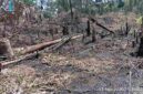 Kawasan perladangan masyarakat Dusun Bahowan, Nagori Dolok Marawa, Kecamatan Silou Kahean, Kabupaten Simalungun, Senin (31/8/2026) sekitar pukul 11.00 WIB.
