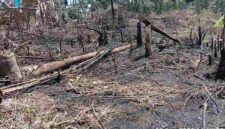 Kawasan perladangan masyarakat Dusun Bahowan, Nagori Dolok Marawa, Kecamatan Silou Kahean, Kabupaten Simalungun, Senin (31/8/2026) sekitar pukul 11.00 WIB.