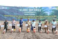 Bupati Asahan Taufik Zainal Abidin, S.Sos., M.Si., melakukan penanaman perdana bibit kelapa sawit melalui Program Peremajaan Sawit Rakyat (PSR) pola kemitraan sekaligus intercropping padi gogo di Desa Gotting Sodadi, Kecamatan Bandar Pasir Mandoge, Kabupaten Asahan, Senin (31/8/2026) sekitar pukul 09.00 WIB.