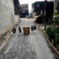 Kondisi jalan yang telah direhab dengan rabat beton.