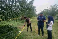 Seorang perempuan berusia 59 tahun ditemukan di kawasan perkebunan PTPN IV Simalungun