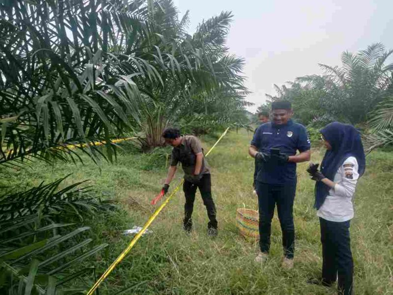 Seorang perempuan berusia 59 tahun ditemukan di kawasan perkebunan PTPN IV Simalungun