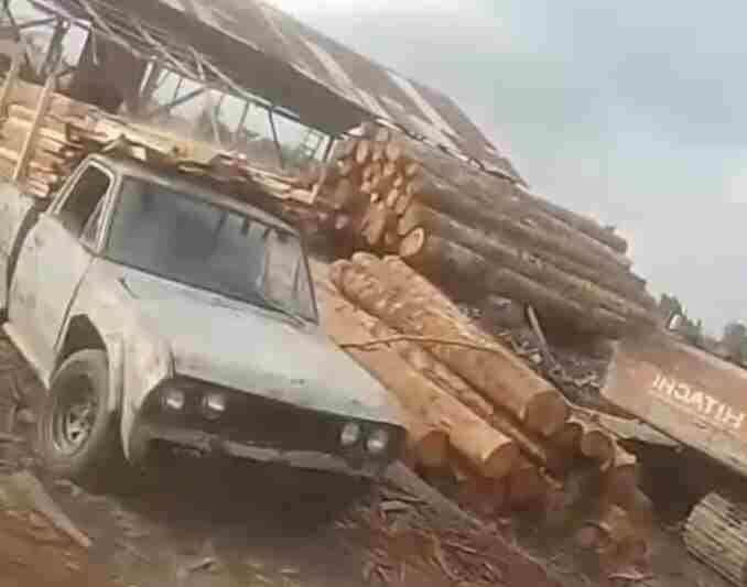 Tumpukan kayu gelondongan di somel di Jalan PU Pengairan,