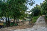 Keterangan Foto : Jalan menuju kampung Tempel yang disebut sebagai perlintasan yang diduga sering area keluar masuknya narkoba (Ist)