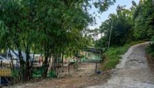 Keterangan Foto : Jalan menuju kampung Tempel yang disebut sebagai perlintasan yang diduga sering area keluar masuknya narkoba (Ist)