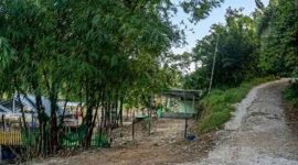 Keterangan Foto : Jalan menuju kampung Tempel yang disebut sebagai perlintasan yang diduga sering area keluar masuknya narkoba (Ist)