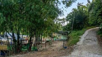 Keterangan Foto : Jalan menuju kampung Tempel yang disebut sebagai perlintasan yang diduga sering area keluar masuknya narkoba (Ist)