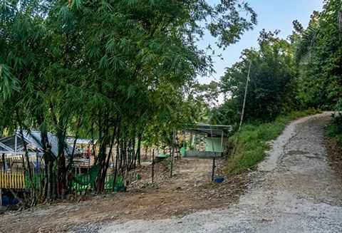 Keterangan Foto : Jalan menuju kampung Tempel yang disebut sebagai perlintasan yang diduga sering area keluar masuknya narkoba (Ist)