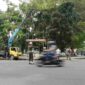 Satpol PP Pematangsiantar membongkar dua papan reklame tak berizin di Jalan Sudirman dan Jalan Sangnaualuh pada Kamis, 8 Oktober 2026.