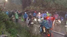 Kondisi Lalu lintas saat terjadinya Pohon Tumbang. Minggu, 11 Oktober 2026.
