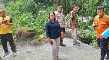 Badan Penanggulangan Bencana Daerah (BPBD) melakukan peninjauan dan berkoordinasi dengan sejumlah instansi untuk mempercepat penanganan serta pemulihan akses transportasi.